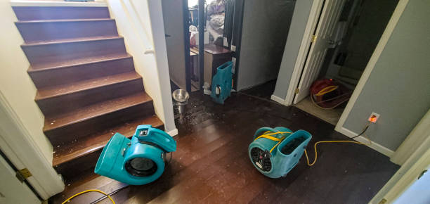 Best Fire Damage Restoration  in South Run, VA