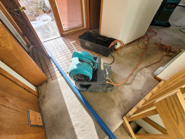 Best Water damage restoration specialists  in South Run, VA