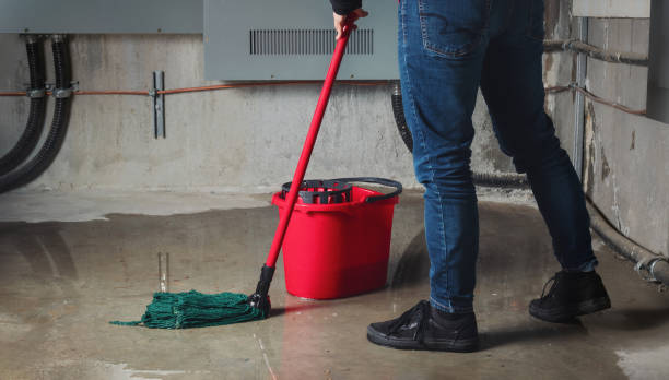 Best Mold removal after water damage  in South Run, VA