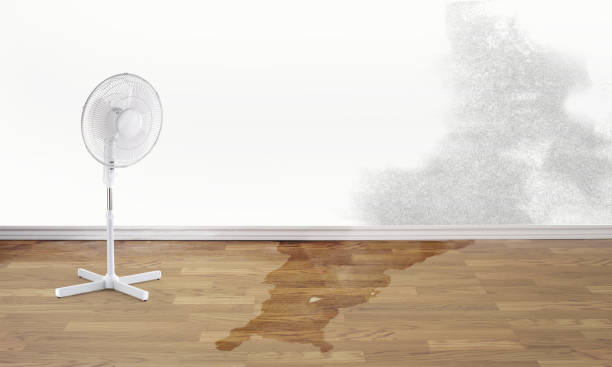 Best Residential water damage restoration  in South Run, VA