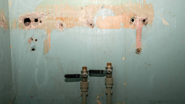 Best Flooded house restoration  in South Run, VA