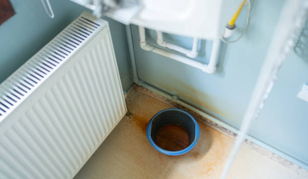 Best Local water damage restoration  in South Run, VA