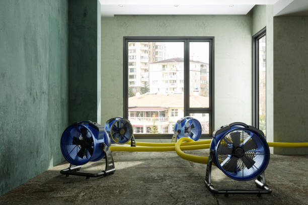 Best Water damage restoration near me  in South Run, VA